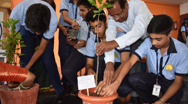 Green Thumb Initiatives: Plant Mate and Compost Crafting